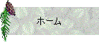 ۡ