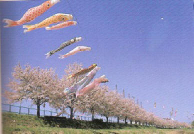 ŤޤĤ