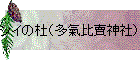 Ρ¿οҡ
